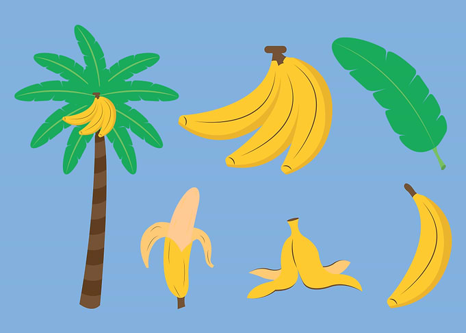 Banana Tree