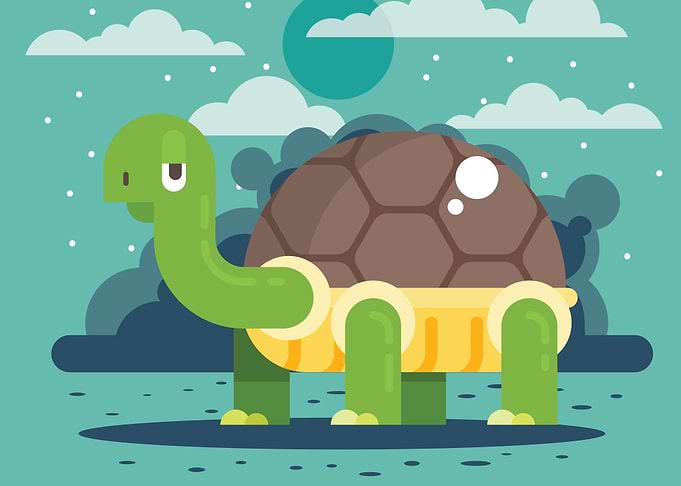 Turtle Cute