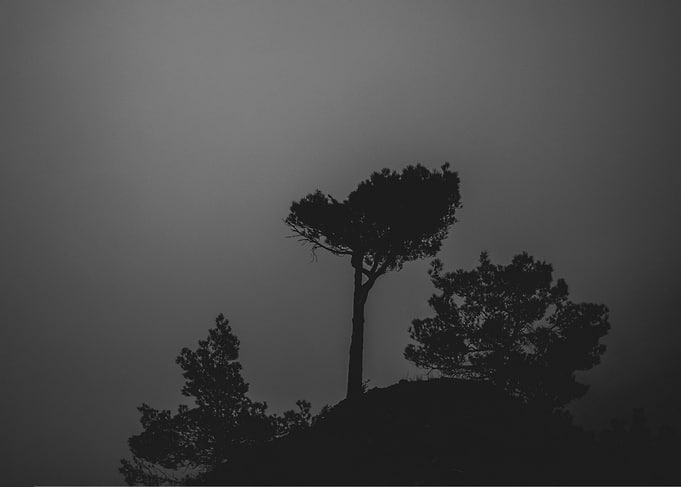 Moody winter