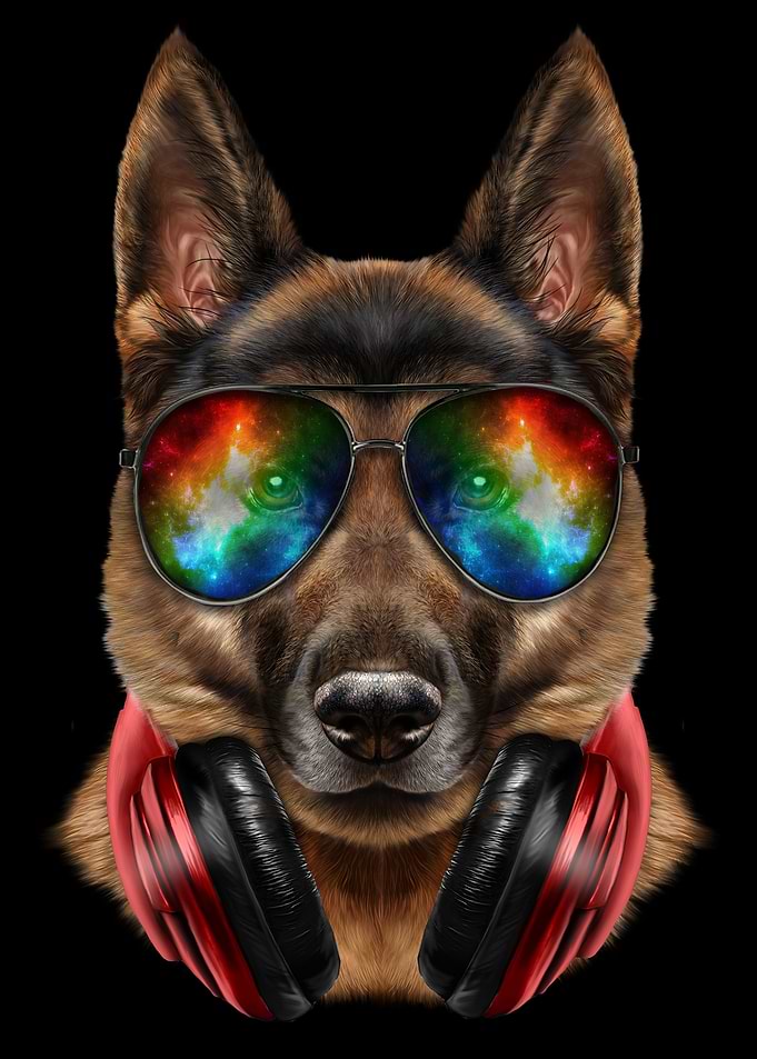Rapper German Shepherd Dog