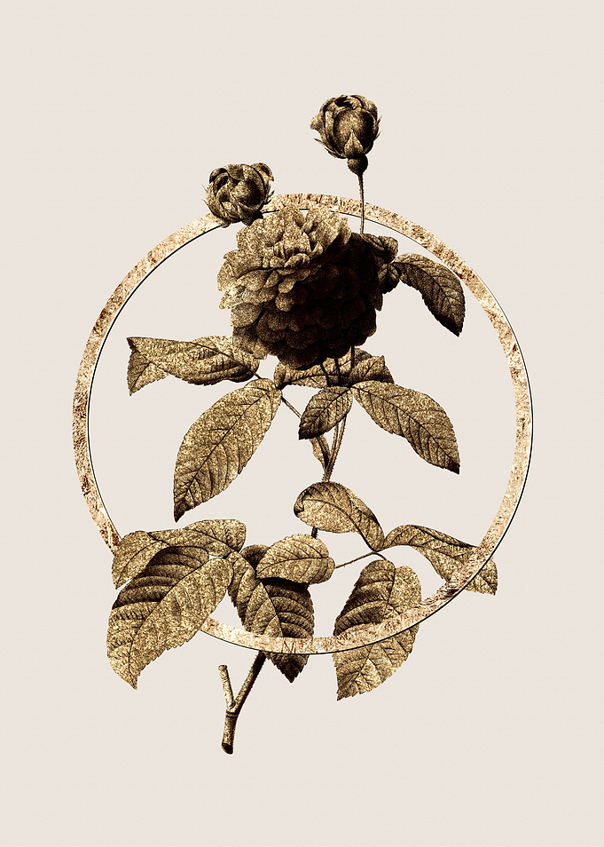 Gold Agatha Rose Flower