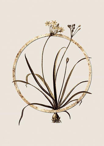 Gold Glitter Flower Circle