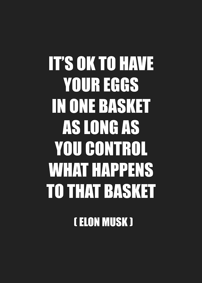 elonsmusk quote