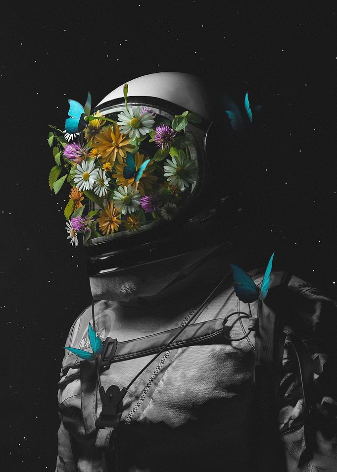 Flower Head