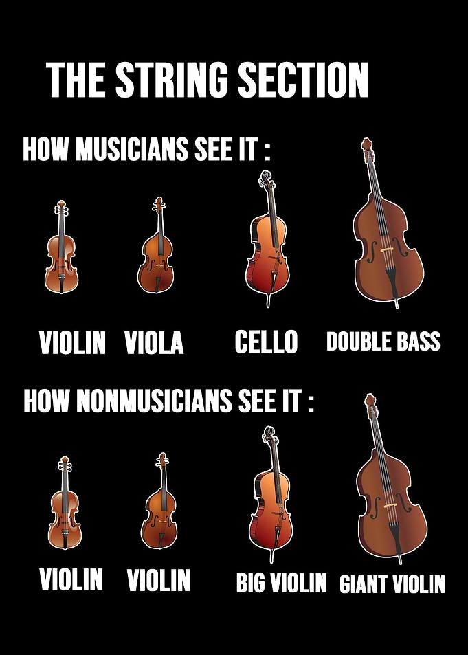 String Section City Orches