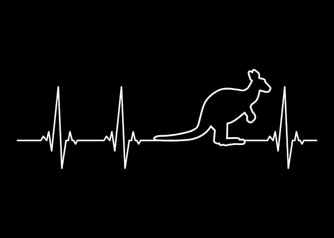 Kangaroo pulse