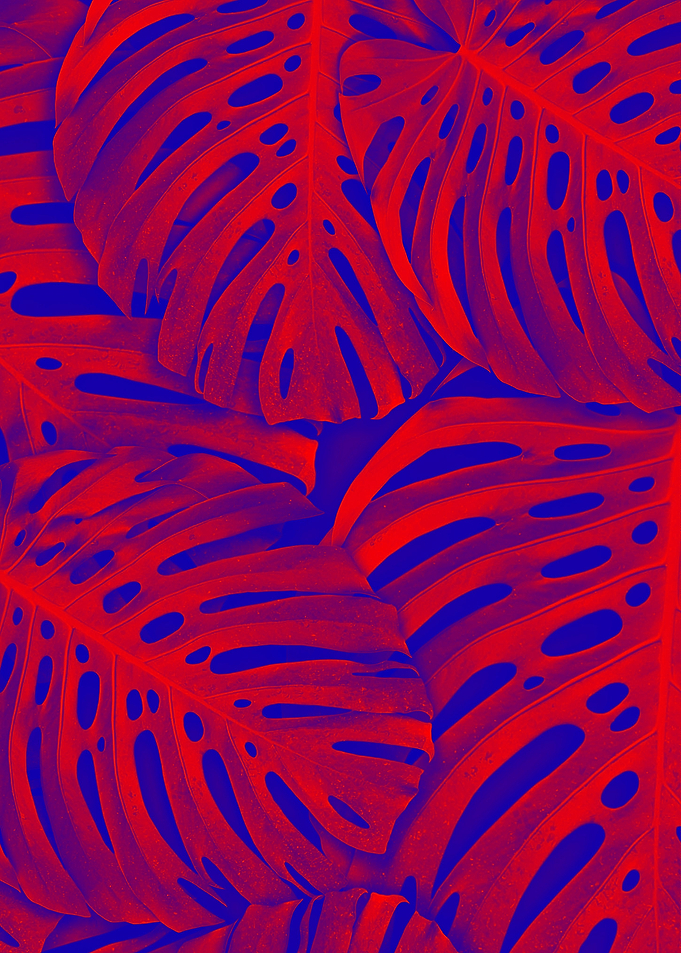 fiery red leaves