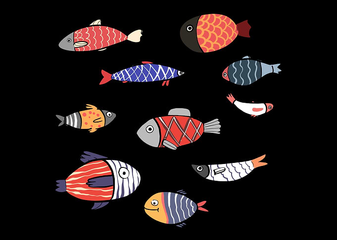 Fish Variety Fishermen or