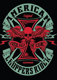 Wings Skull