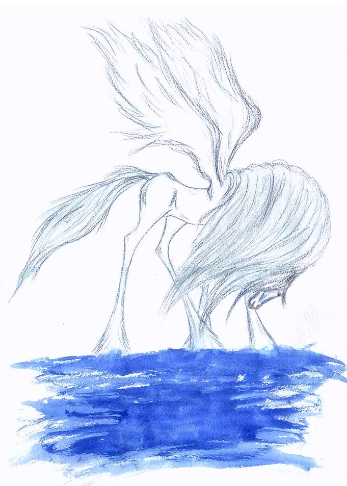 Water Pegasus