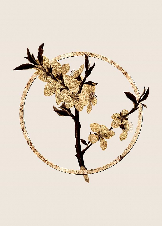 Gold Almond Tree Flower