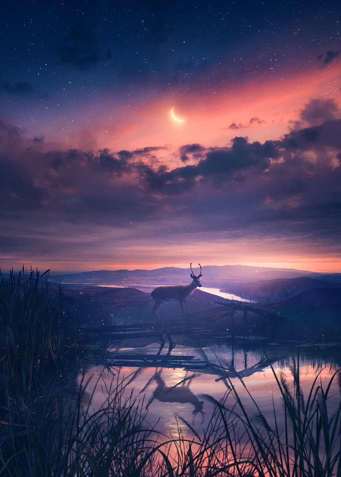 TWILIGHT