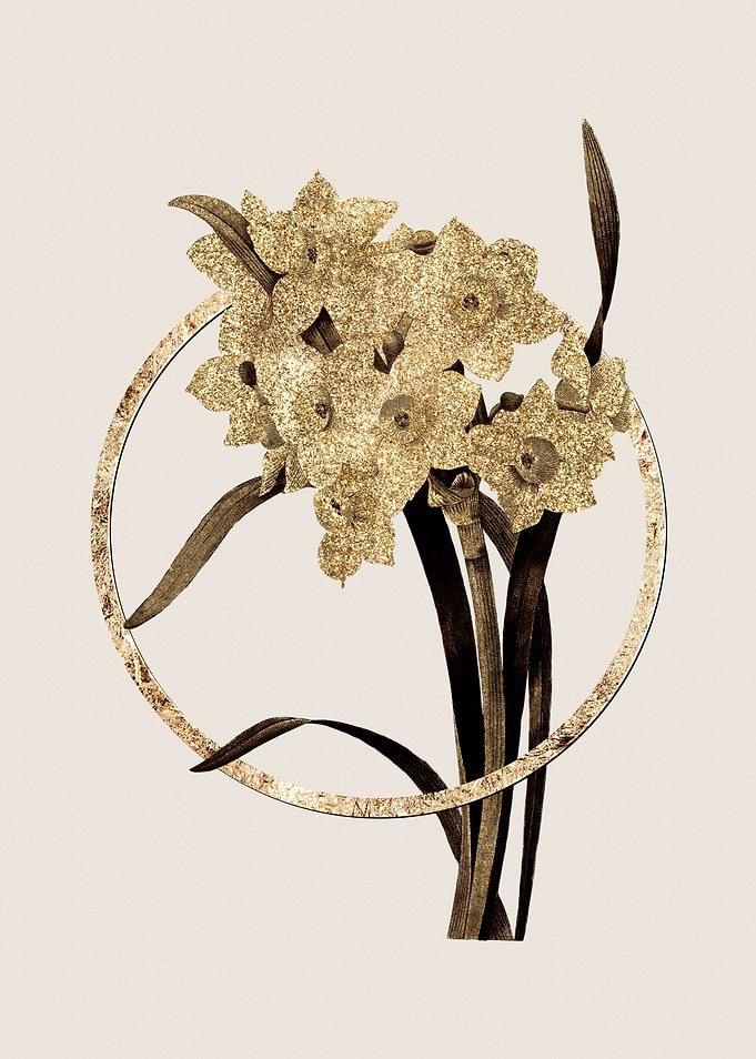 Gold Daffodil Flower