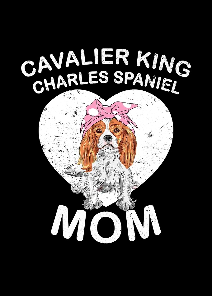 Cavalier King Charles