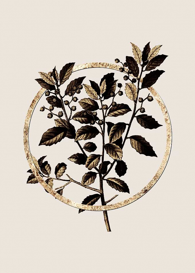Gold Evergreen Oak Leaves