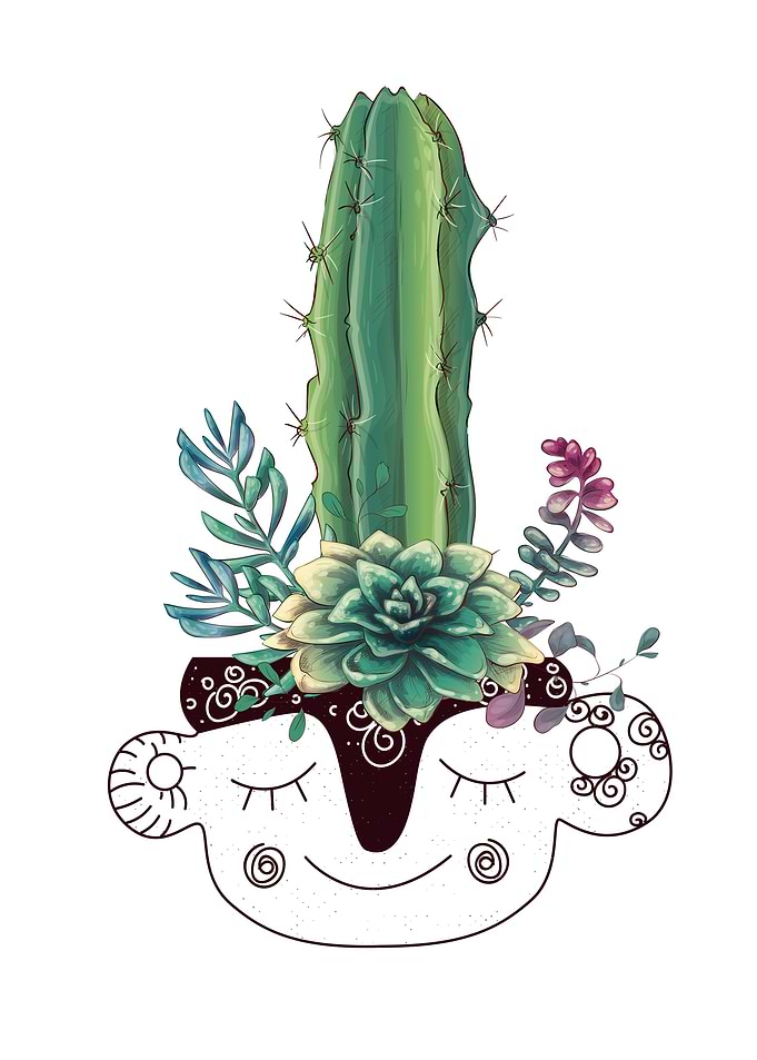 Cactus Plant