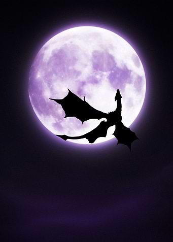 Moonlit Dragon