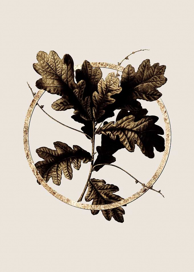 Gold English Oak Leaves