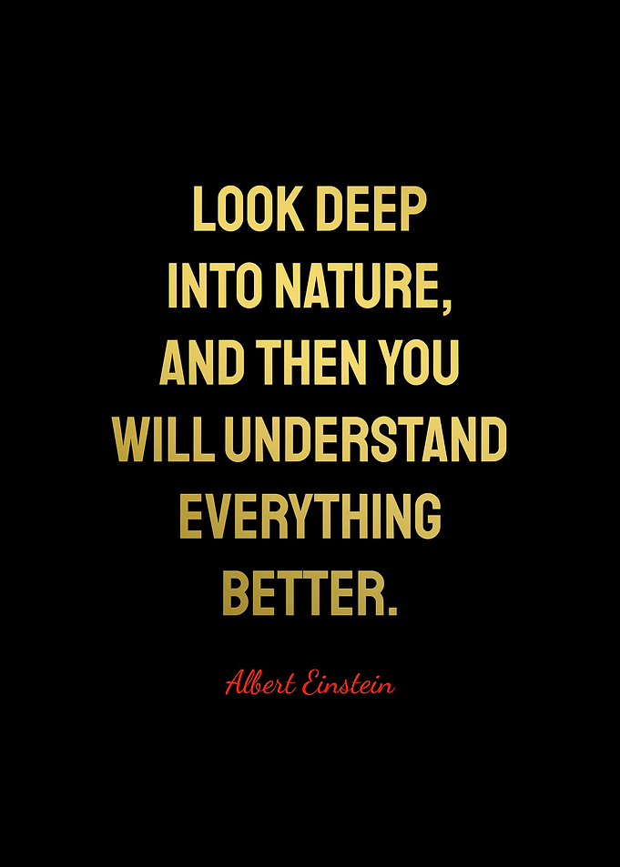 Albert Einstein Quotes