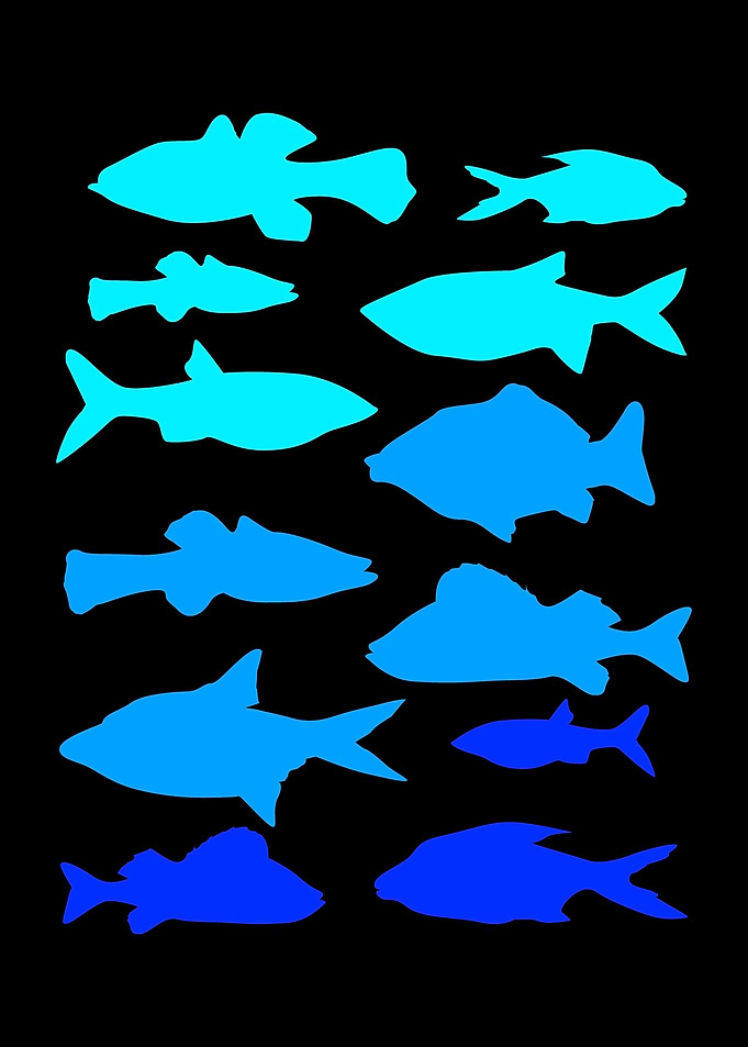 Fishing Fishes