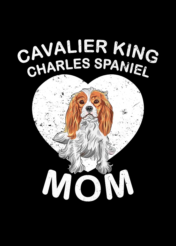 Cavalier King Charles