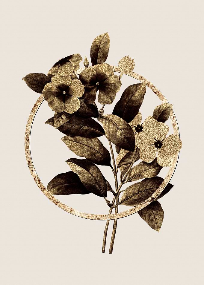 Gold Periwinkle Flower