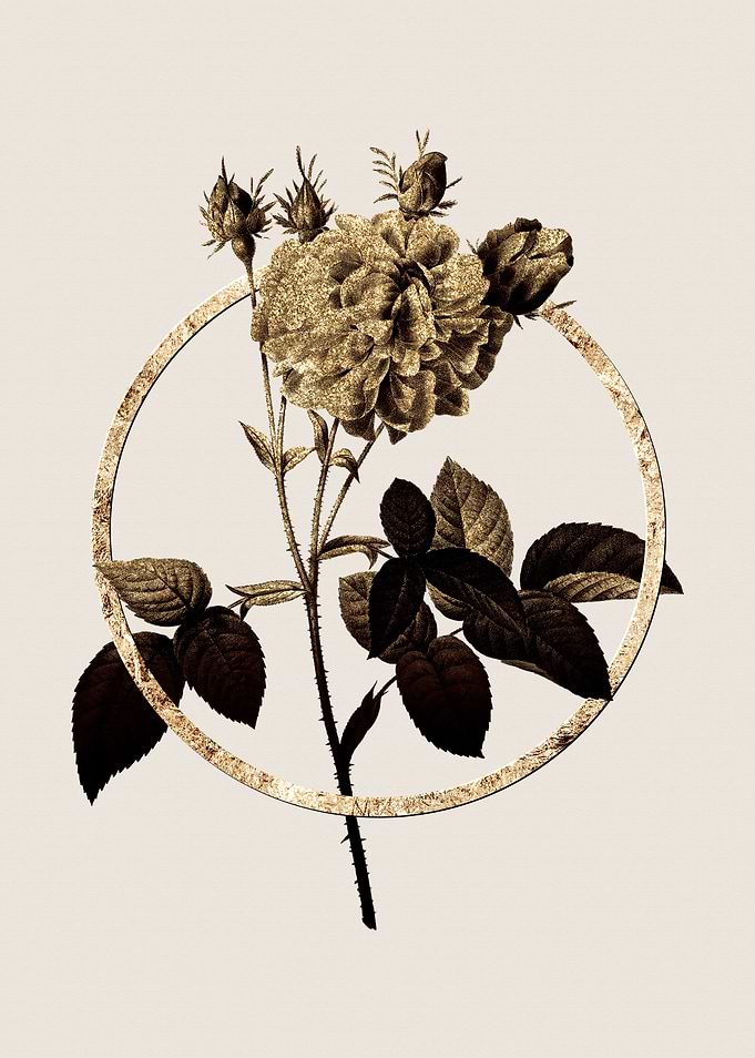 Gold Agatha Rose Flower
