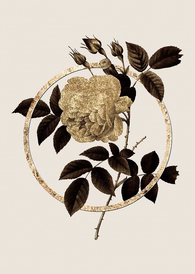 Gold Rosa Indica Flower