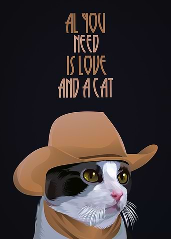 Cute cat