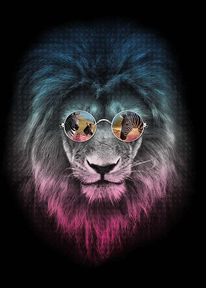 The Cool Hunter