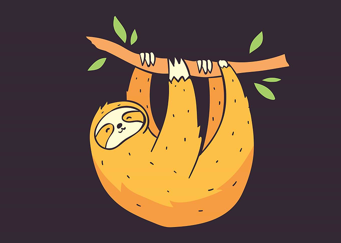 Sloth animal cute
