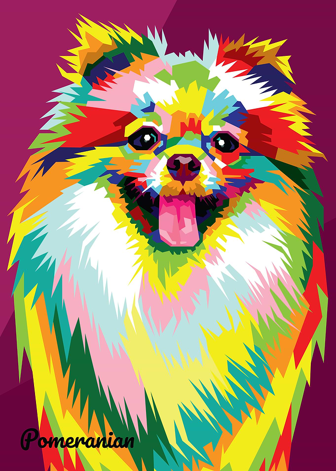 Pomeranian Pop Art
