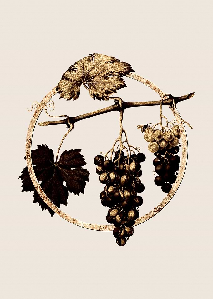 Gold Summer Grape Fruit