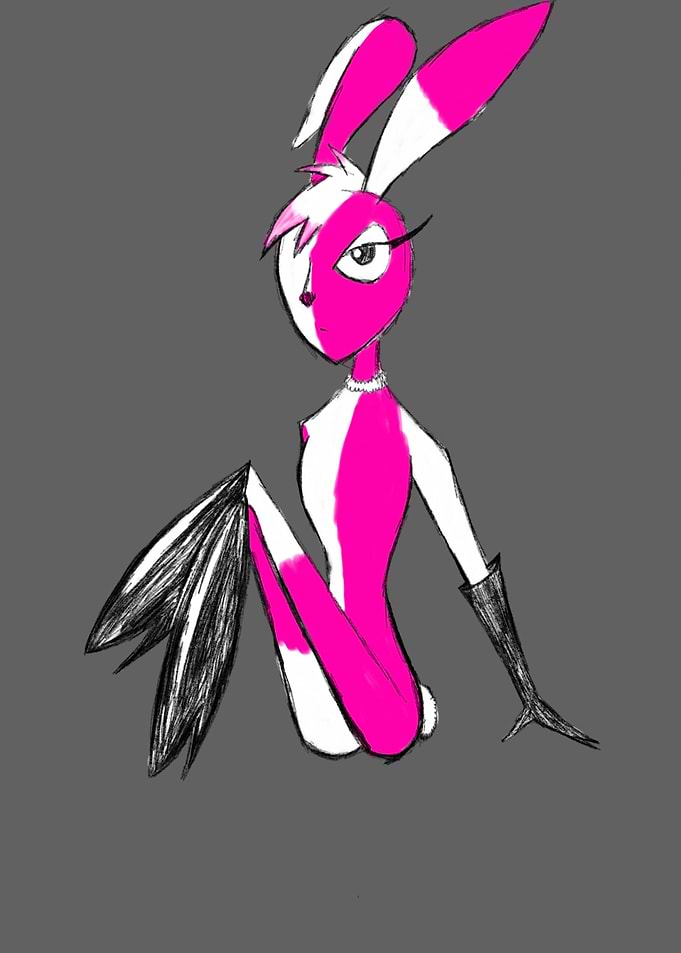 Harlequin Bunny