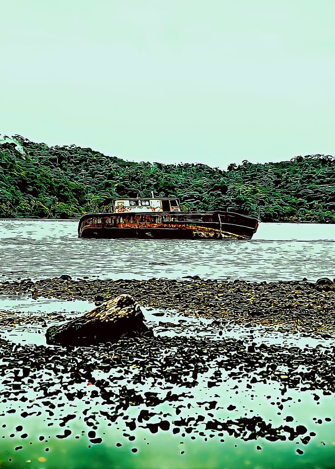 the wreck