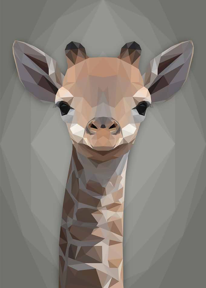 Happy Giraffe