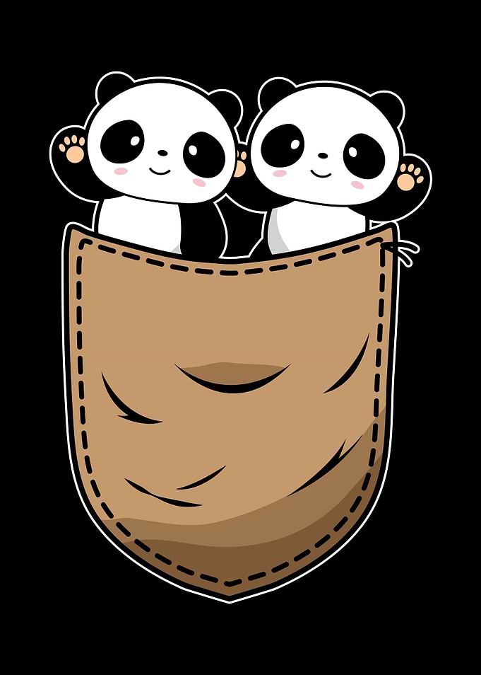 Kawaii Panda Lover
