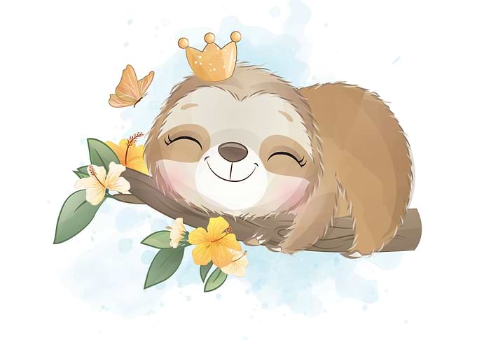 Sloth animal cute