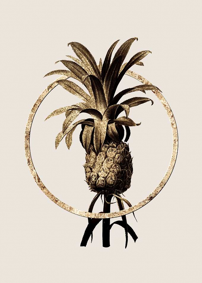 Gold Pineapple Fruit