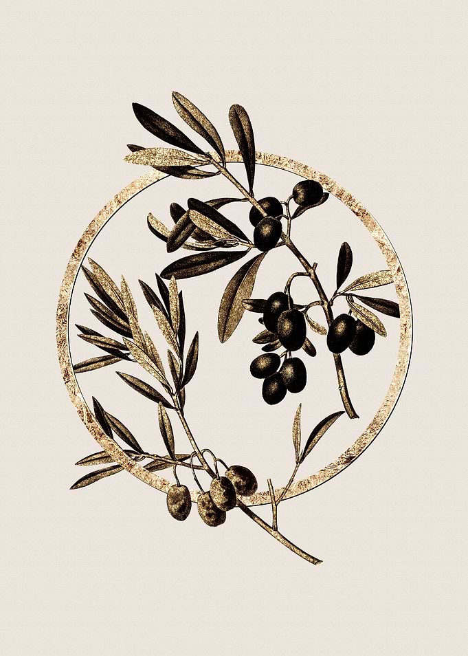 Gold Olive Fruit Branch