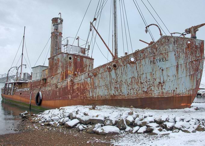 the wreck