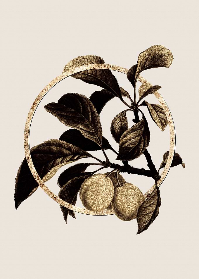 Gold Ripe Plums Fruit