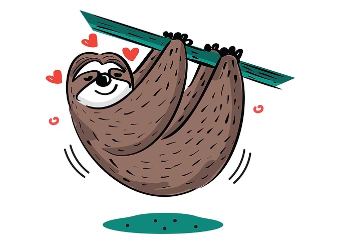 Sloth cute