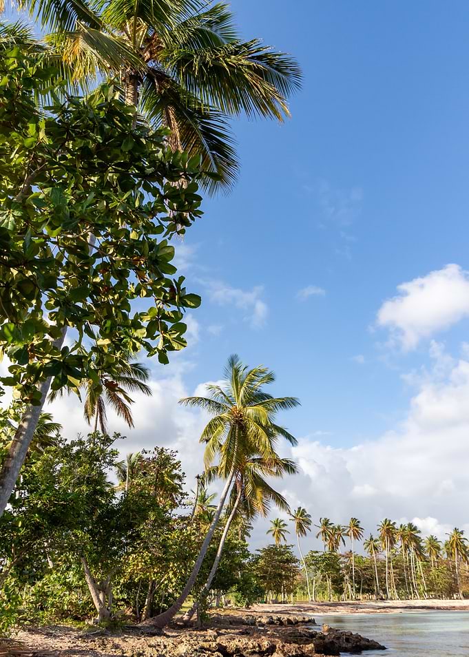 Beach View