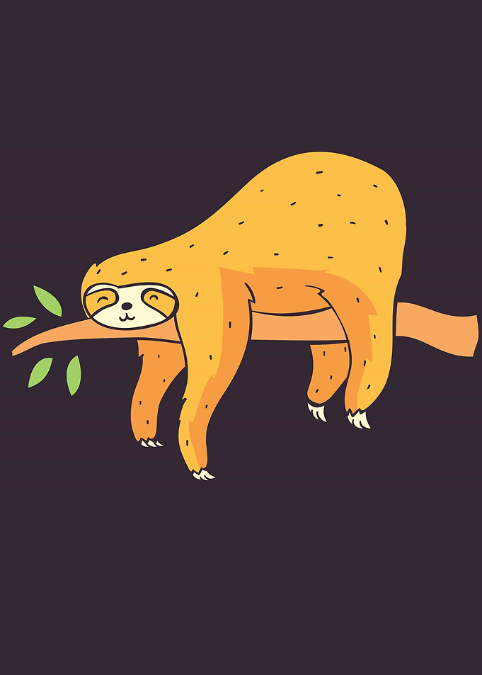 Sloth animal cute