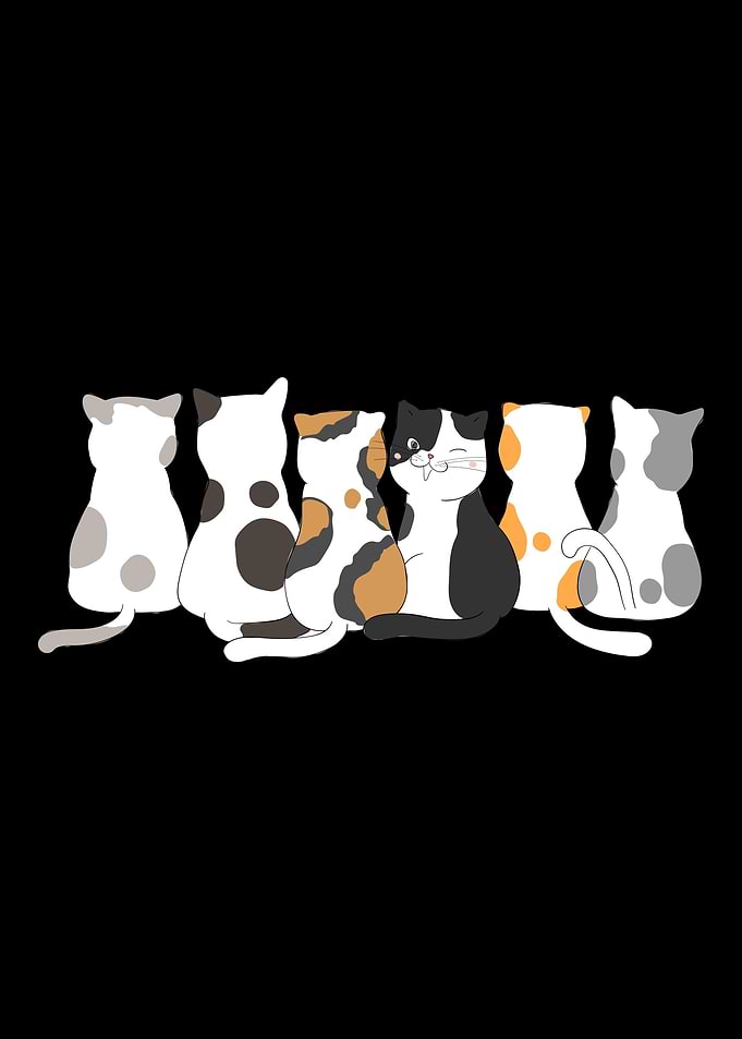 Cat Kitten Gift Cute Cats