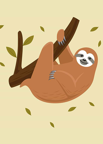 Sloth cute