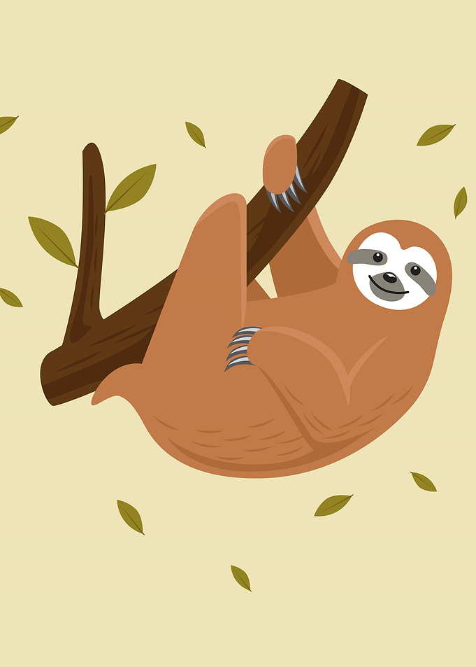 Sloth cute