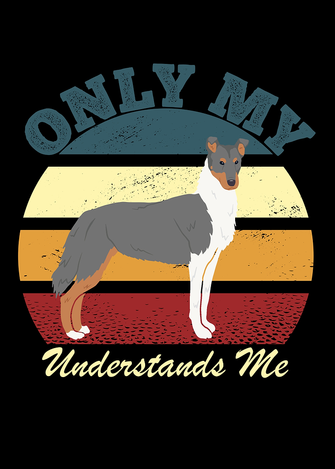 Only My Border Collie