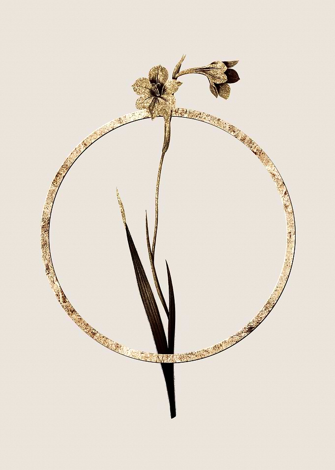 Gold Sword Lily Flower